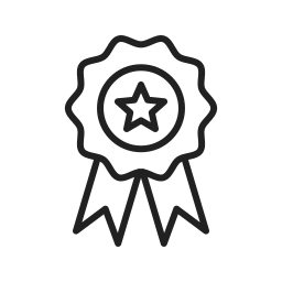 Excellence Icon